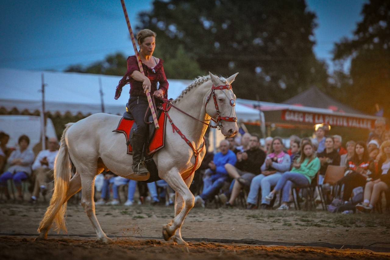 Etalon lusitanien crème 
