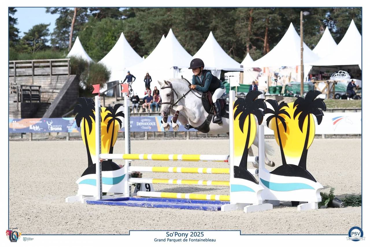 Saillie IAC PFS L&eacute;opard Palomino