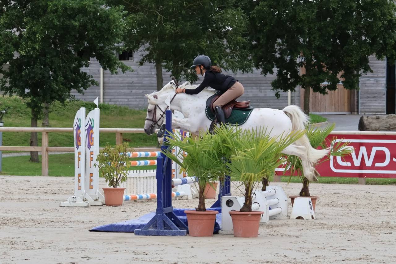 Saillie IAC PFS L&eacute;opard Palomino