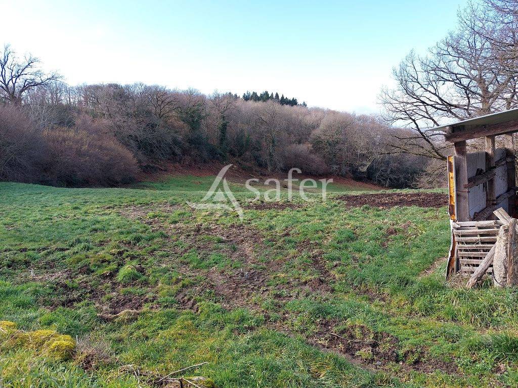 Ensemble b&acirc;tis avec environ 6ha80