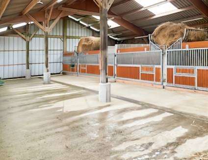 37ha dédiés à l'elevage en forêt d'Ecouves - Normandie