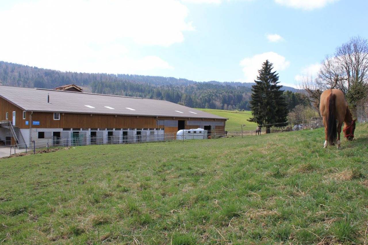 Boxes et stabulations libres, Jura Bernois