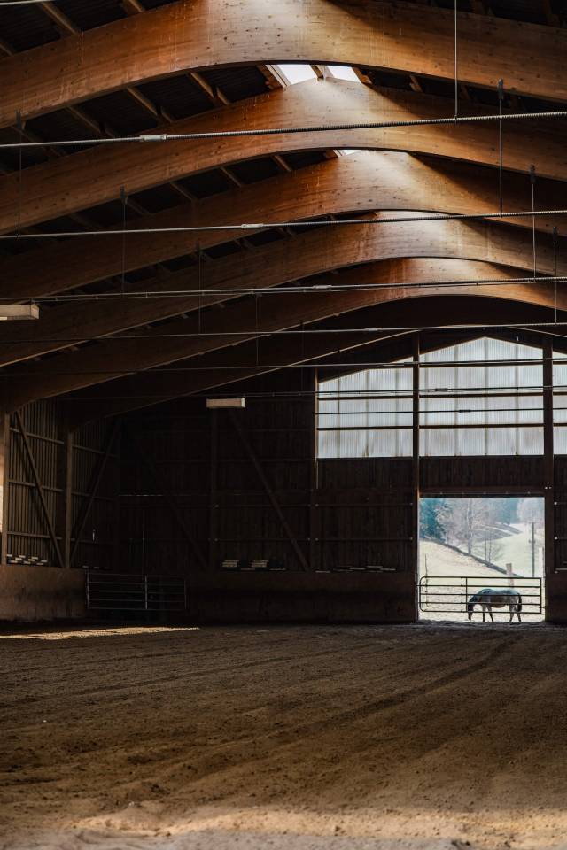 Boxes et stabulations libres, Jura Bernois