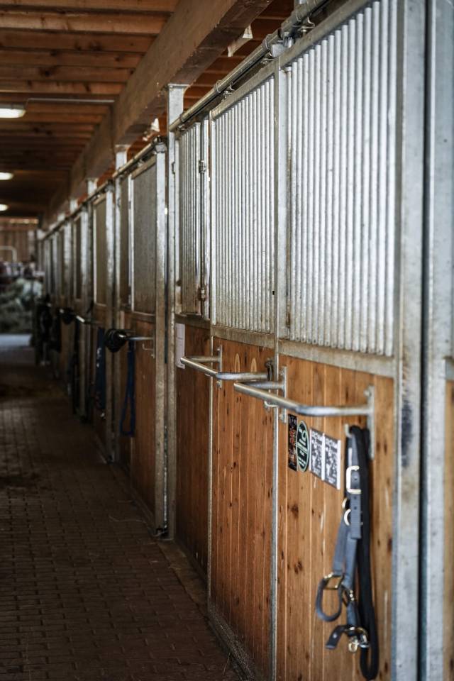 Boxes et stabulations libres, Jura Bernois