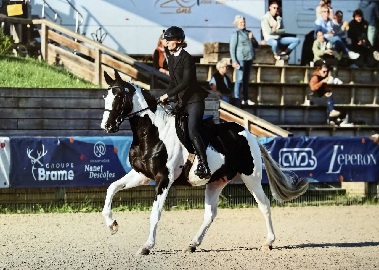 &Eacute;talon pie noir homozygote Linvictus d&rsquo;Enjoy 