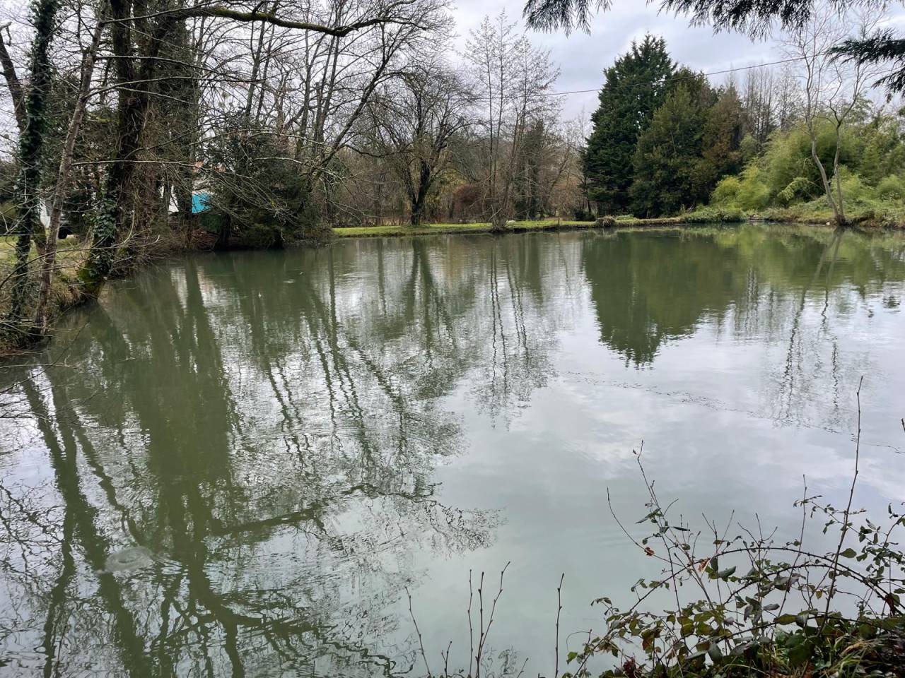 Propriété de 174 m² idéale pour chevaux sur 1,6 ha