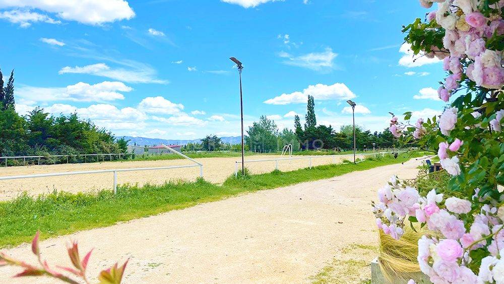 Domaine équestre - Equipements complets sur 5 hectares