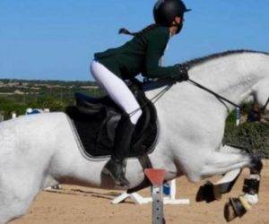 CARDOSO: Un maître en piste et un compagnon d'aventrues