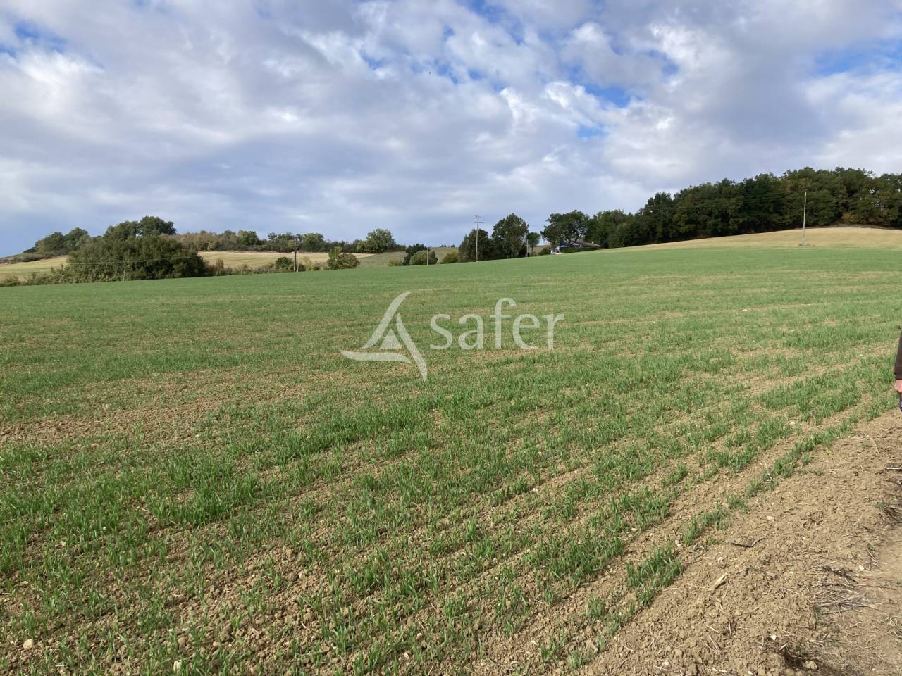 Propriété en pierre de caractère sur 25ha