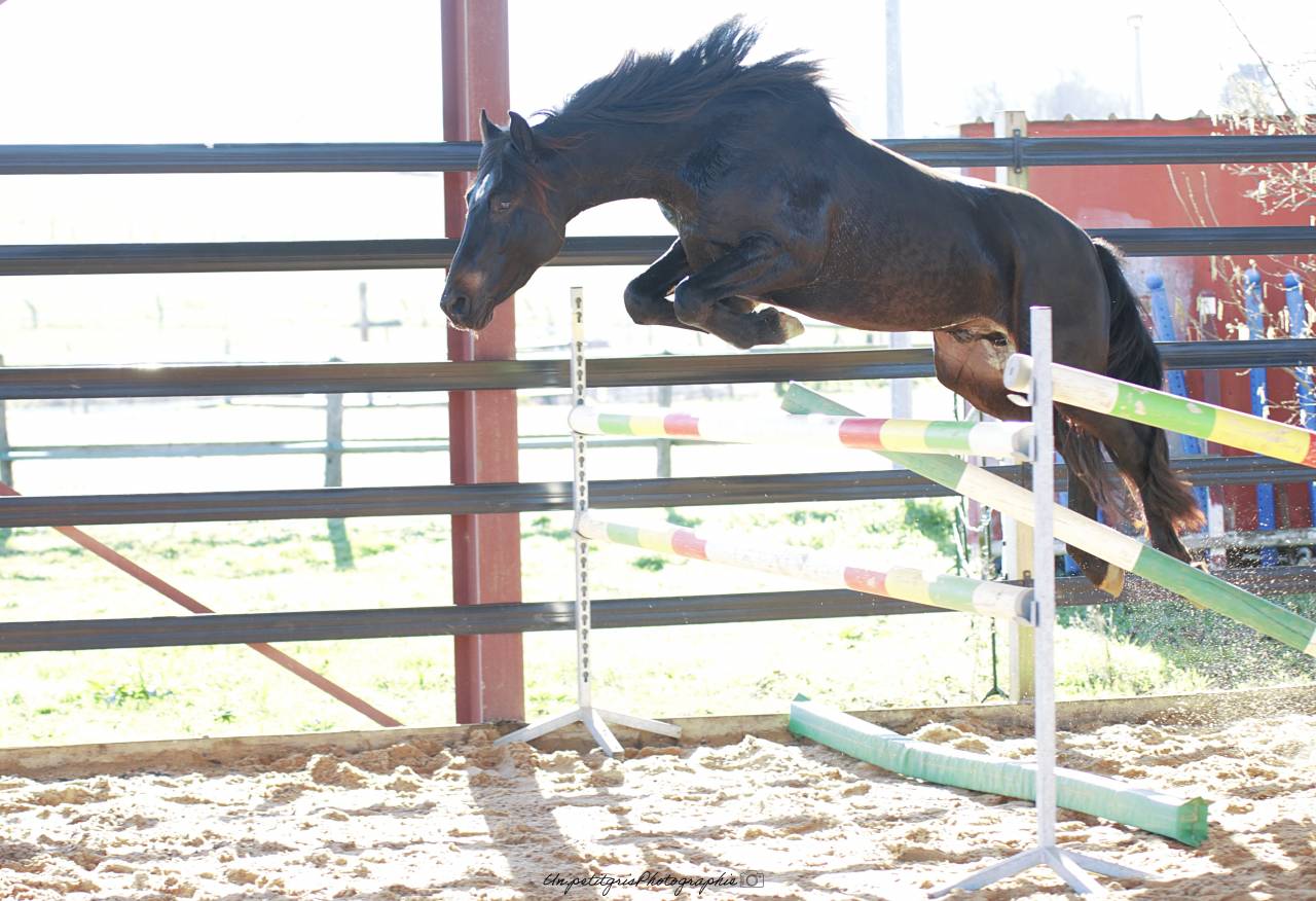 Futur performeur PFS propos&eacute; &agrave; la monte en main 