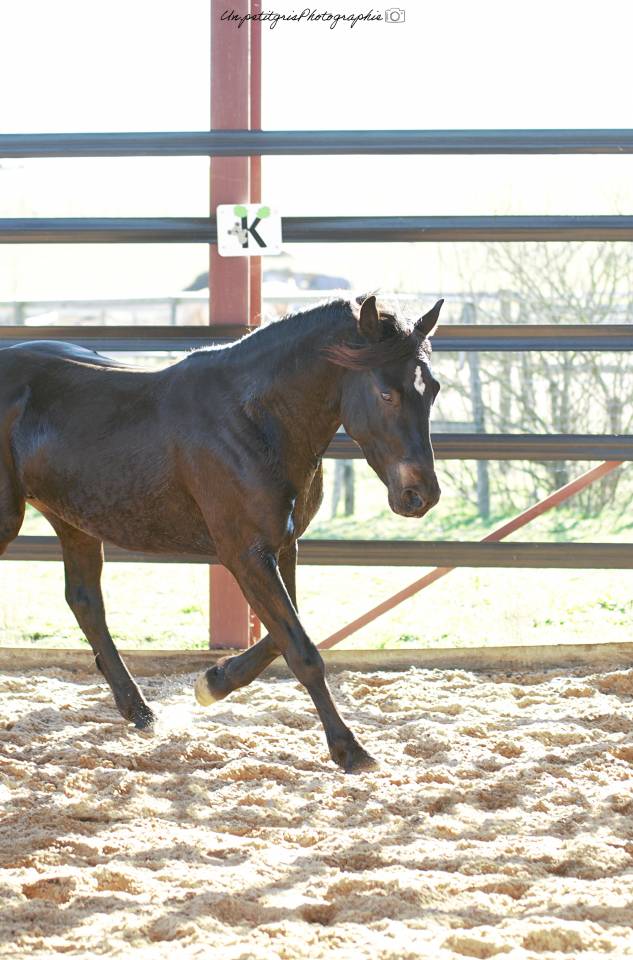 Futur performeur PFS propos&eacute; &agrave; la monte en main 