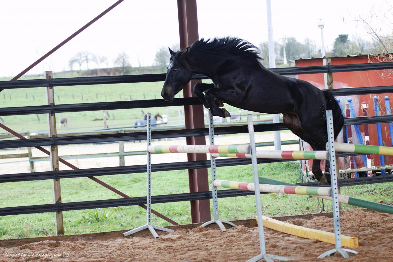 Futur performeur PFS propos&eacute; &agrave; la monte en main 