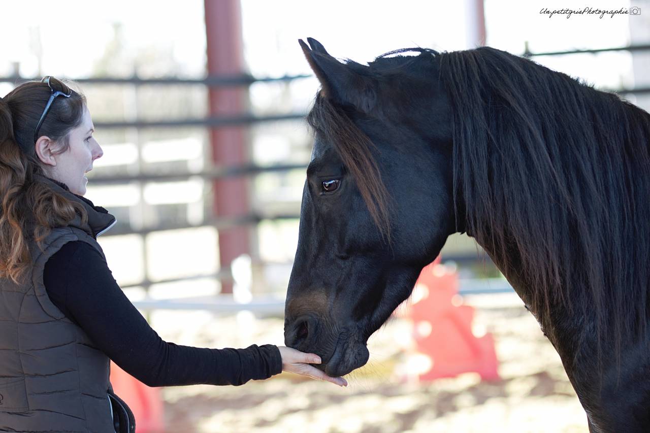 Futur performeur PFS propos&eacute; &agrave; la monte en main 