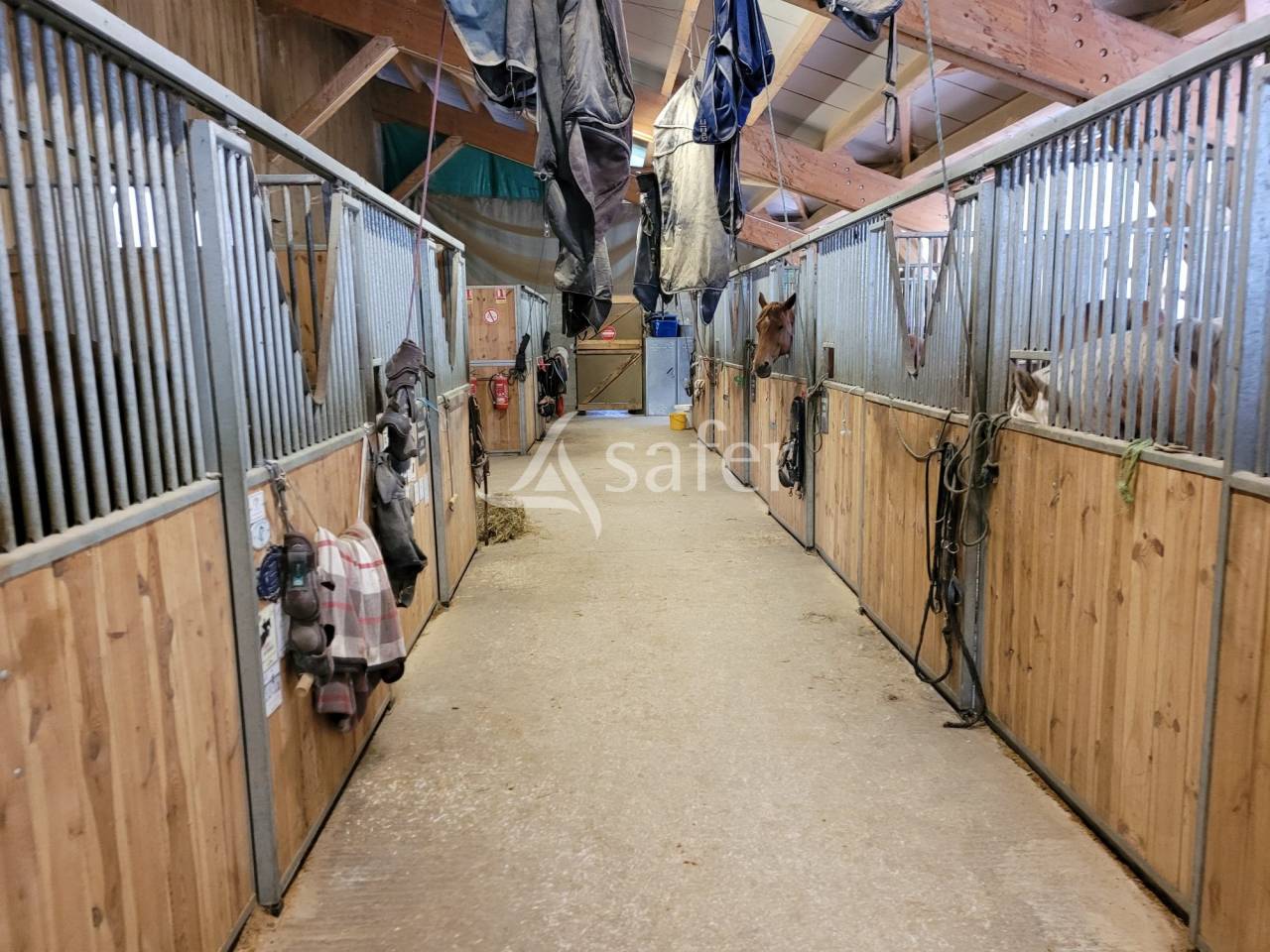 Centre équestre - Vallée de Chamonix