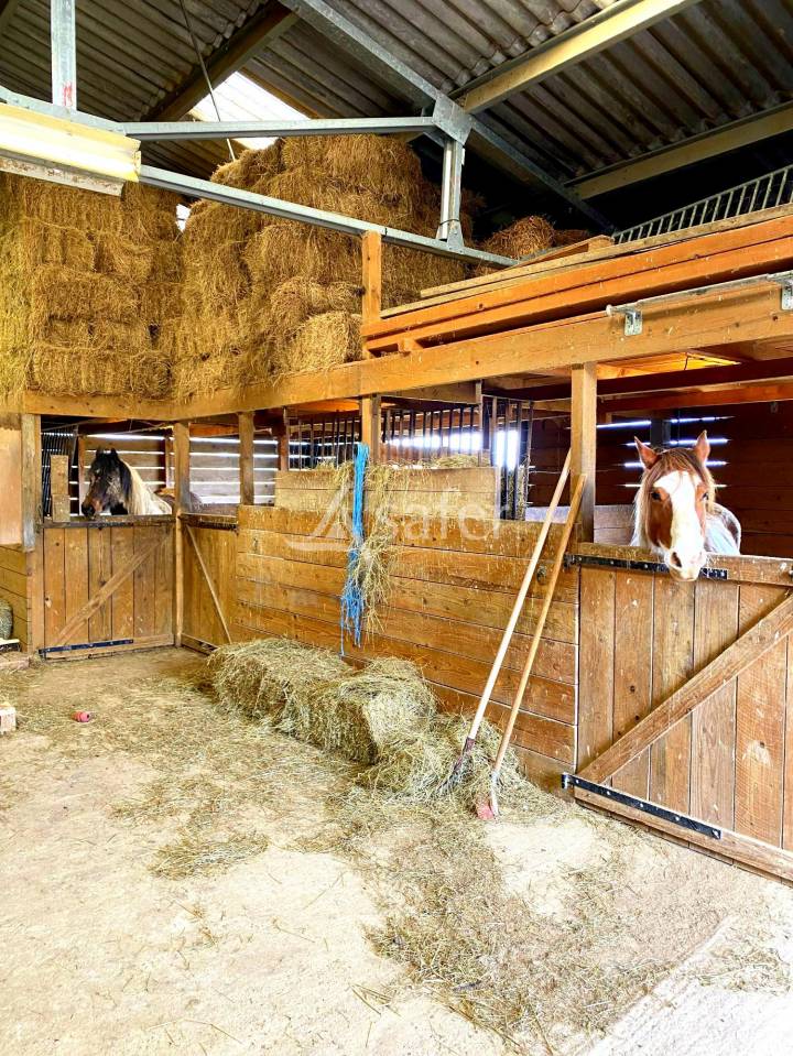 Propriété rurale - Illiat