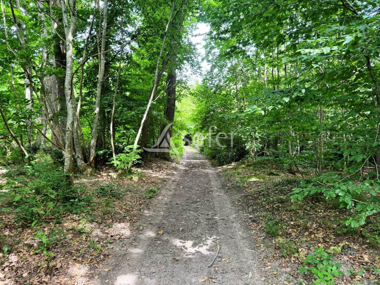 Ecurie de propriétaires à l'orée de la forêt de Fontaineblea