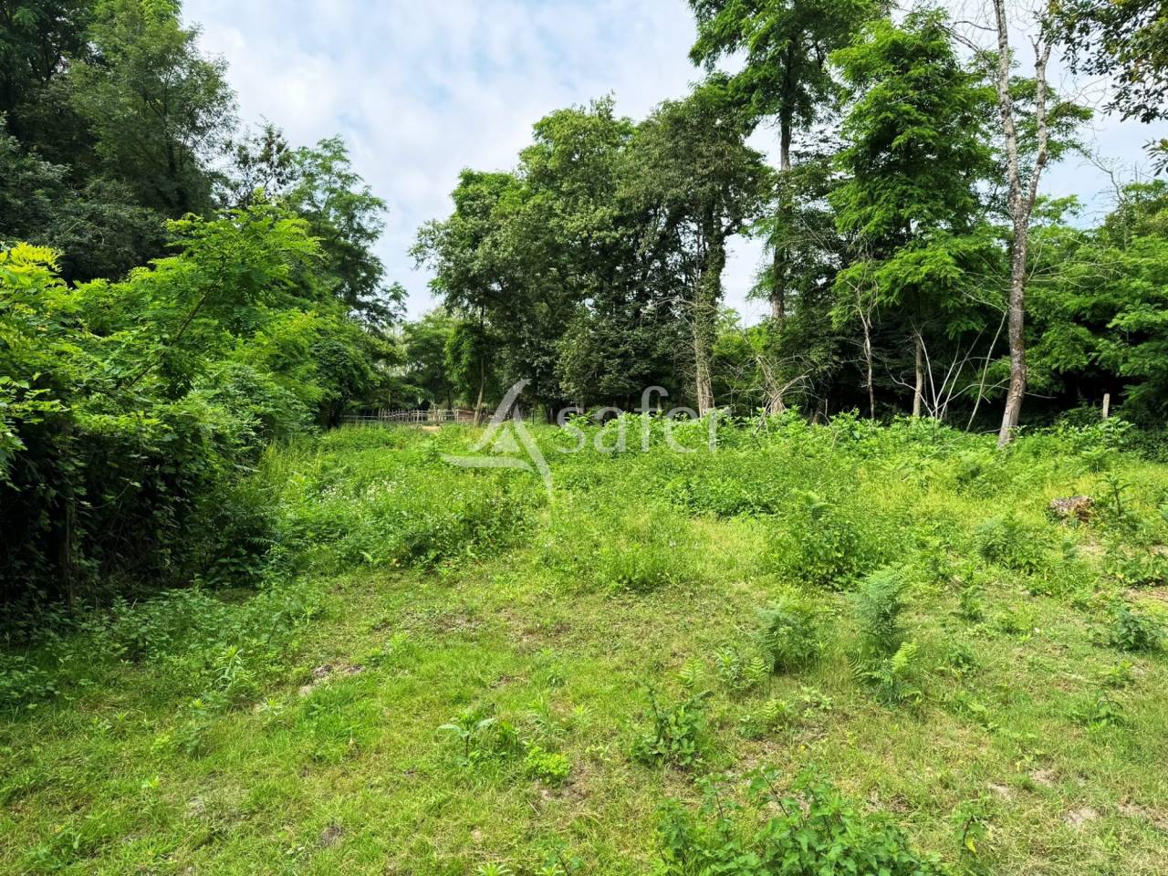 Ecurie de propriétaires à l'orée de la forêt de Fontaineblea