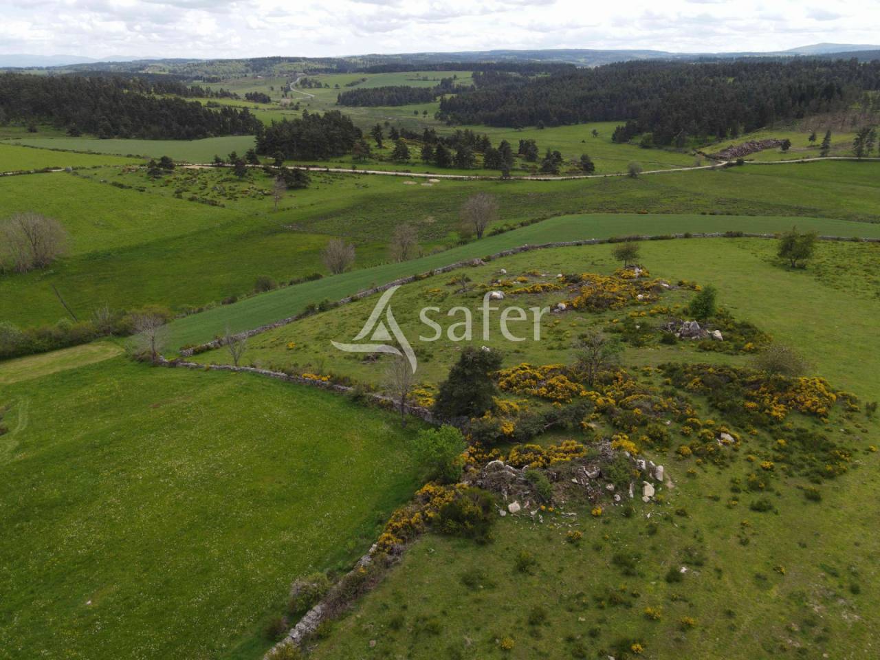 Bâtisses en pierre sur 4 hectares avec activités culinaire et