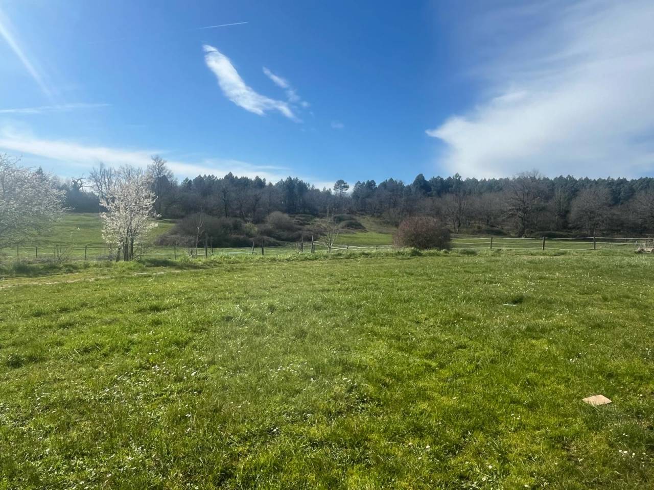 Propriété équestre 15 mn de MONTGUYON (17) sur 30 ha