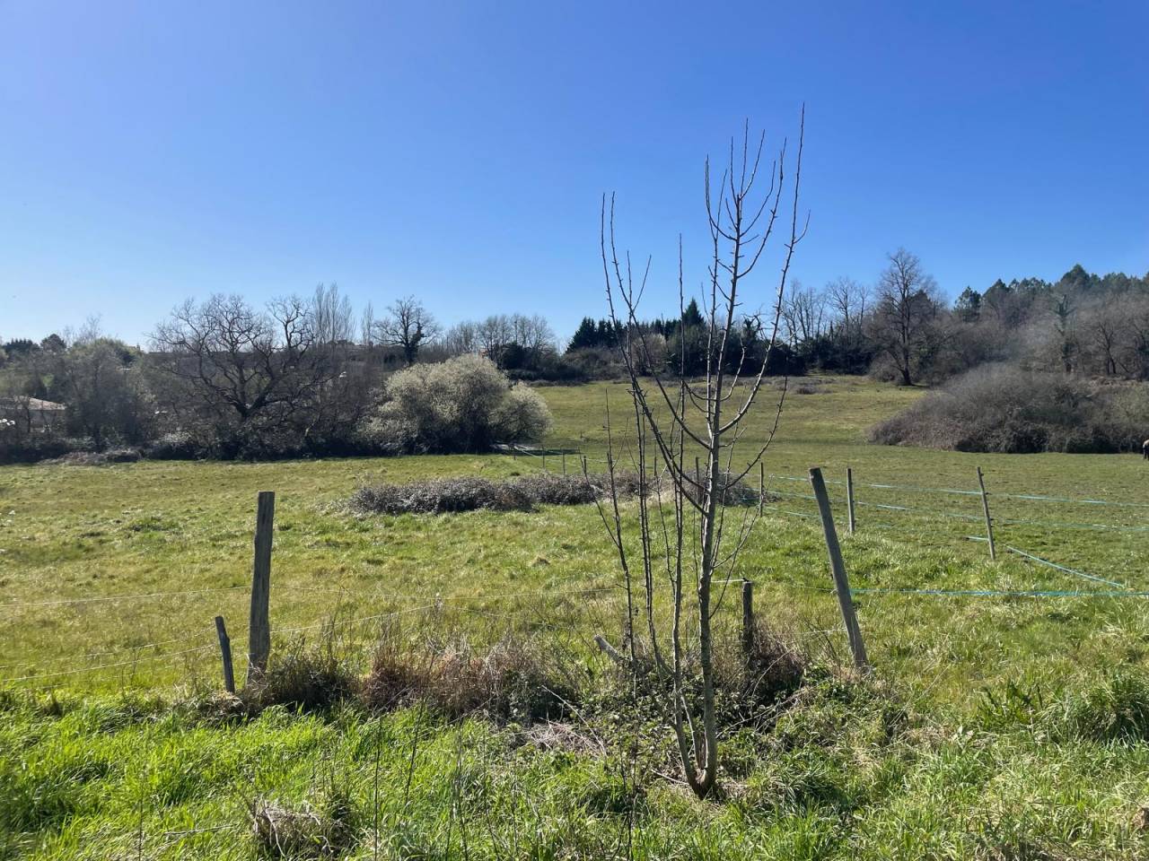 Propriété équestre 15 mn de MONTGUYON (17) sur 30 ha