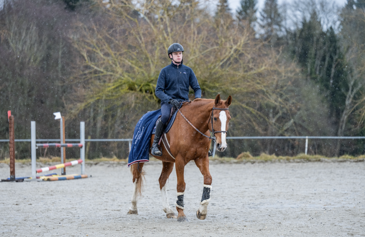 Pension Travail chez Emerald Stables 