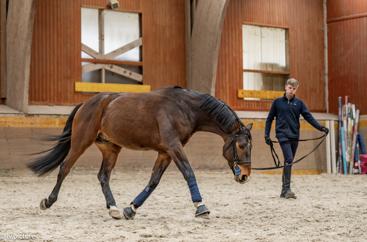 Pension Travail chez Emerald Stables 