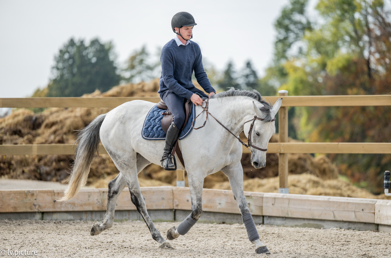 Pension Travail chez Emerald Stables 