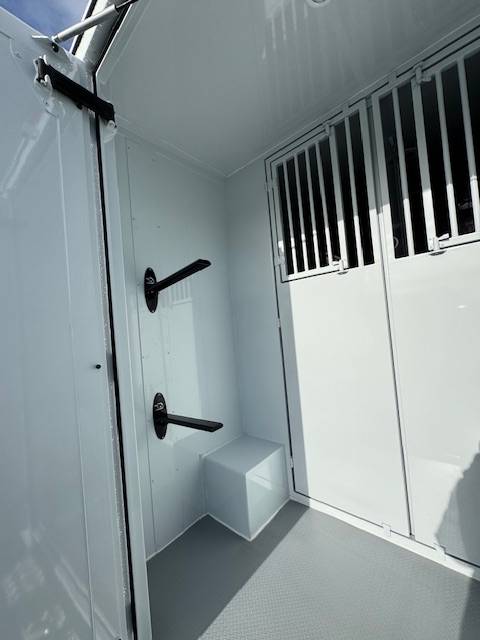 Renault Master TBST stalle 3 - VENDU