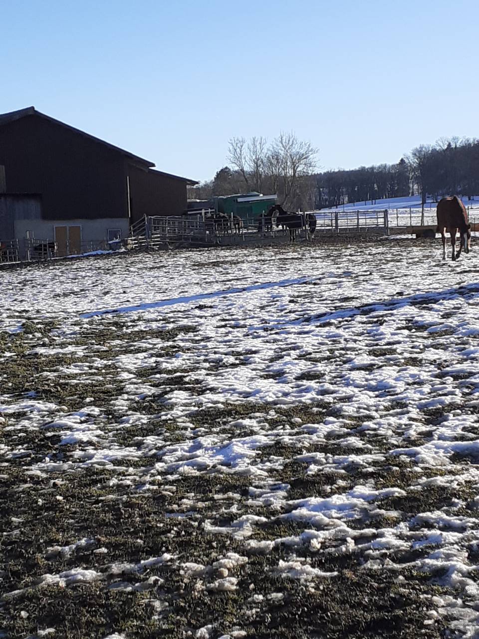 Boxe à louer - Ferme du Cousson 1187 St-oyens