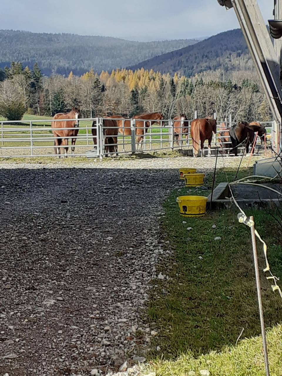 Boxe à louer - Ferme du Cousson 1187 St-oyens