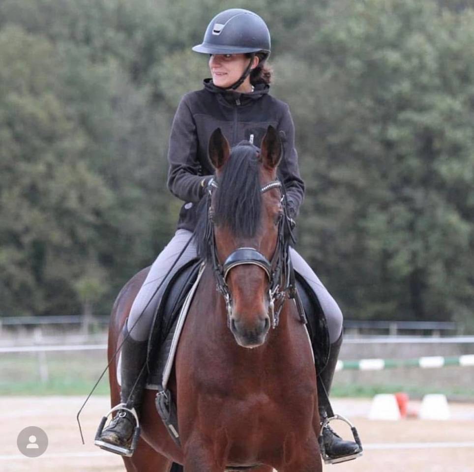 Cours d’équitation et demi pensions à 15mn de Poitiers 