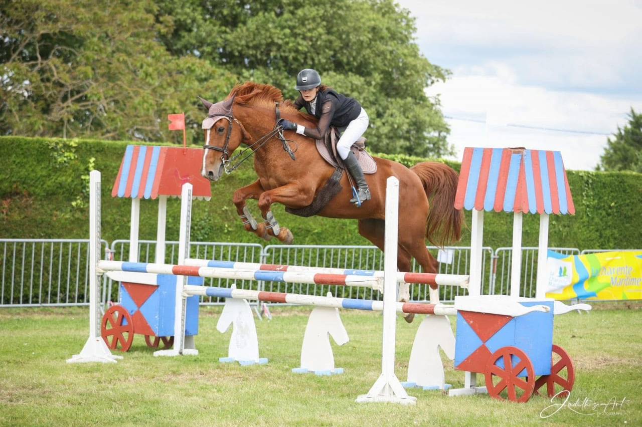 Cours d’équitation et demi pensions à 15mn de Poitiers 