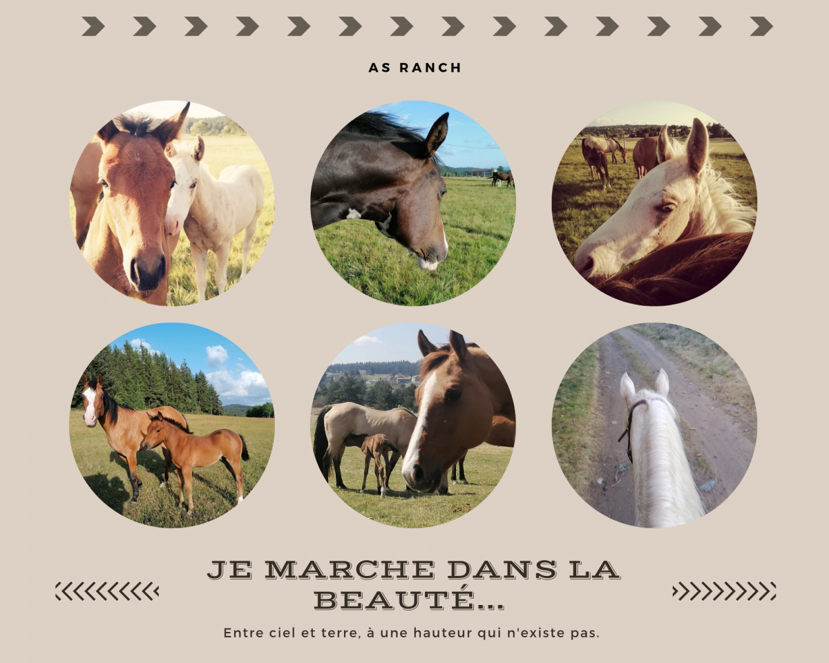 Connexion et complicit&eacute;