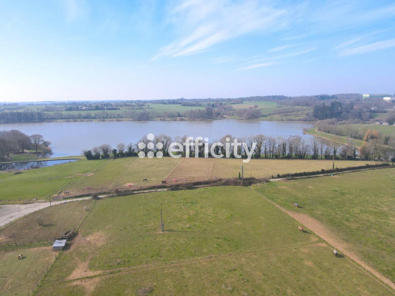 PROPRIÉTÉ ÉQUESTRE / AGRICOLE 2.9 HECTARES