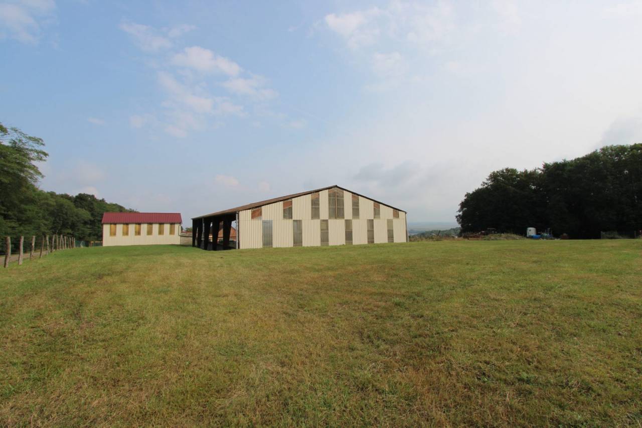 Charmante propriété équestre de 11 hectares en Bourgogne