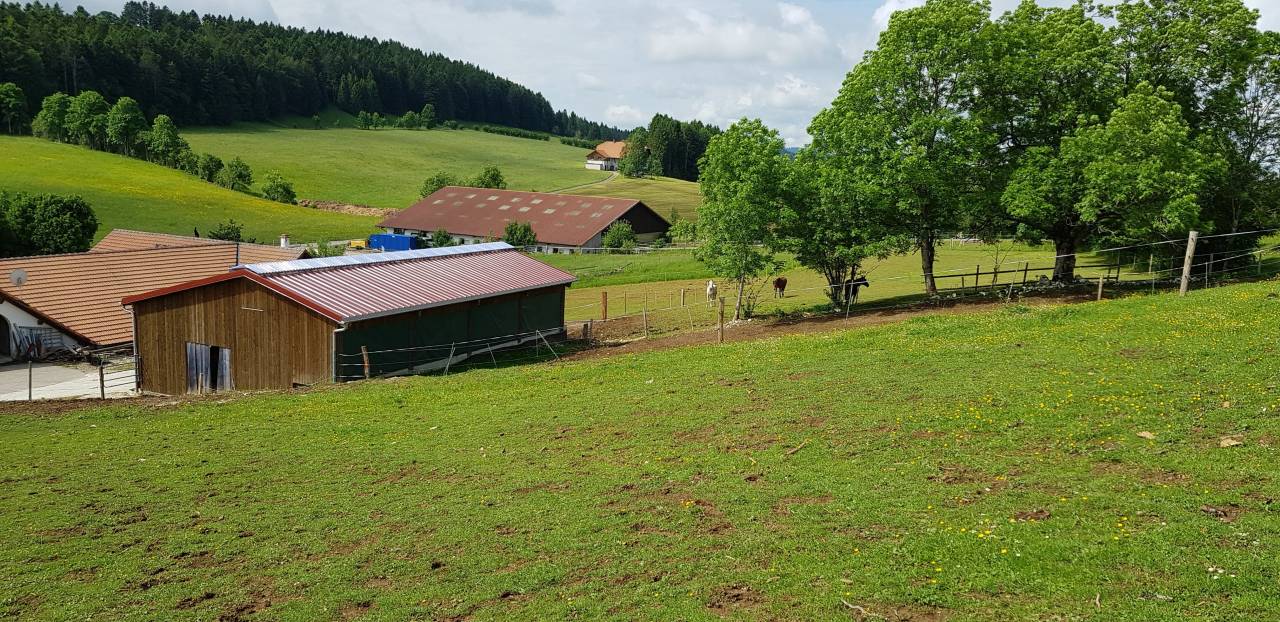 Pension en stabulation 