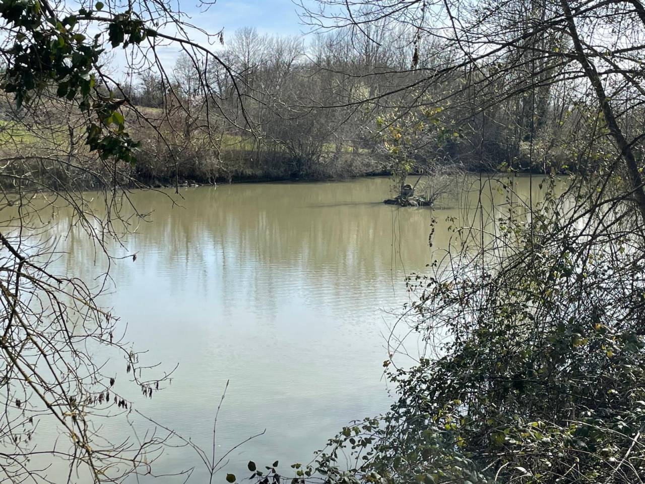 Propriété sur 9,5 ha idéale chevaux et gîte - Périgord