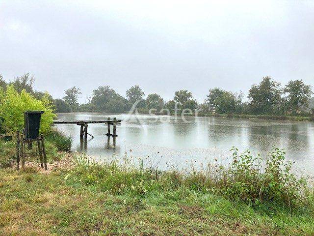 Propriété agricole & chasse en Puisaye
