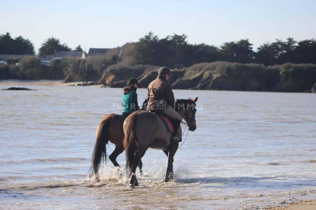 Haras haut de gamme à 5 min des plages - Un cadre unique pour