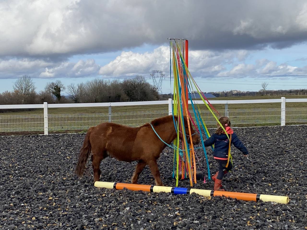 Stage équitation enfants de 6 à 15 ans 