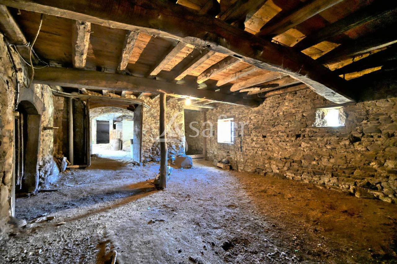 FERME TRADITIONELLE - THURINS