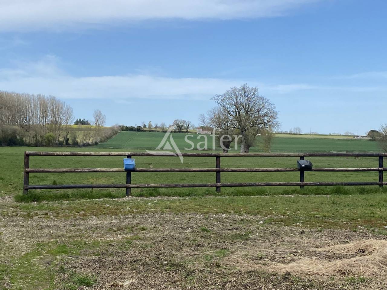 Haras d'élevage 77 hectares