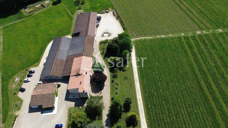 Projet DIVERSIFICATION agricole pour cette propriété viticole