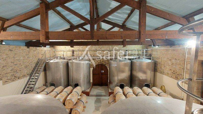 Projet DIVERSIFICATION agricole pour cette propriété viticole