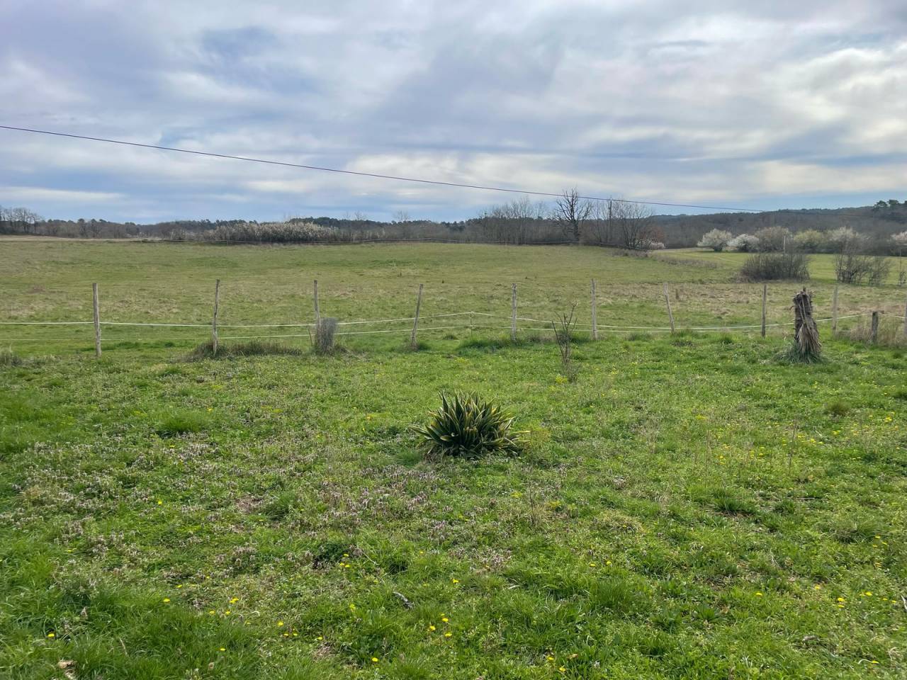 Propriété équestre sur 18 ha – 10 m de MONPAZIER (24)