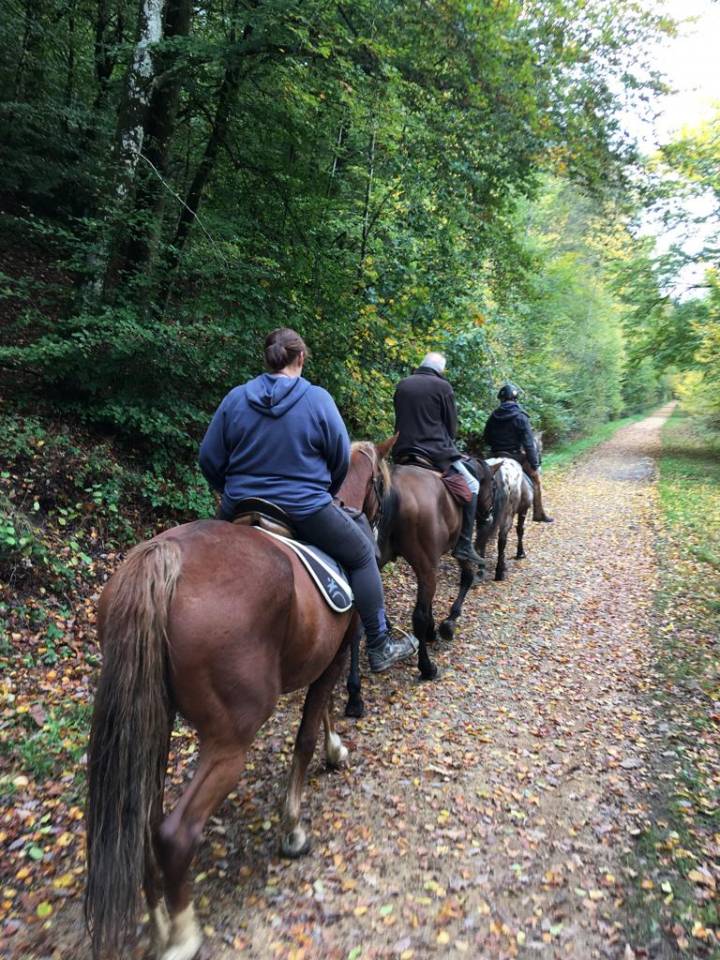 Balades à cheval au fil de la Semois