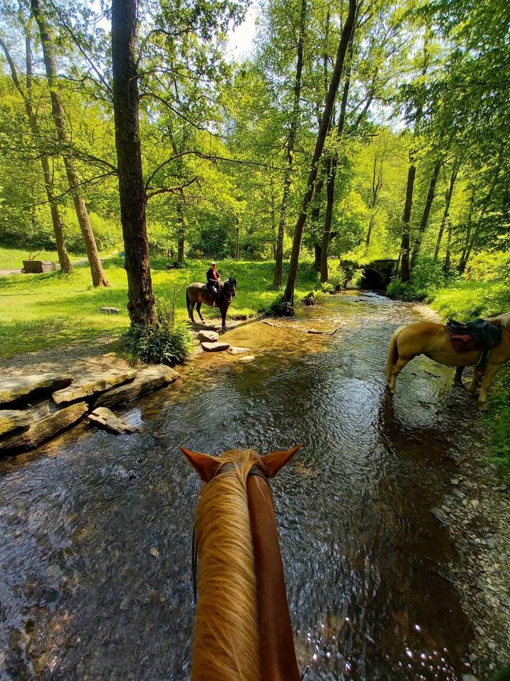 Balades à cheval au fil de la Semois