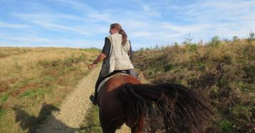 Balades à cheval au fil de la Semois