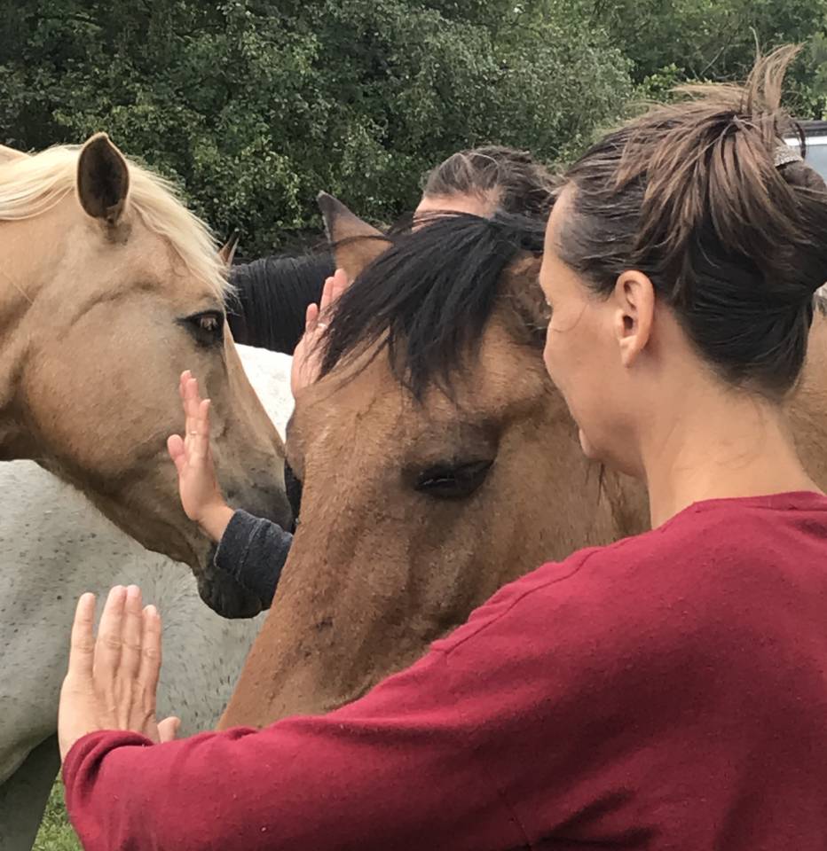 Formation Equith&eacute;rapeute (31j sur un an)