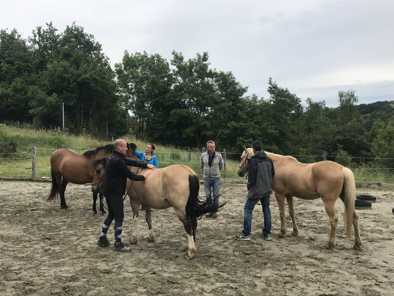 Formation Equith&eacute;rapeute (31j sur un an)